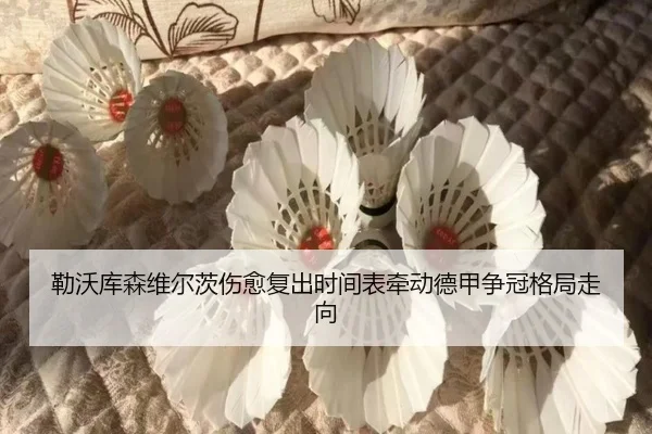勒沃库森维尔茨伤愈复出时间表牵动德甲争冠格局走向